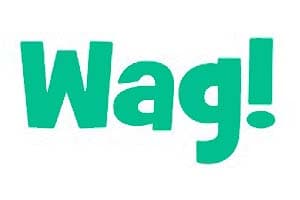 CHW Acquisition Corp. (CHWA) Adds FPA Post-Vote